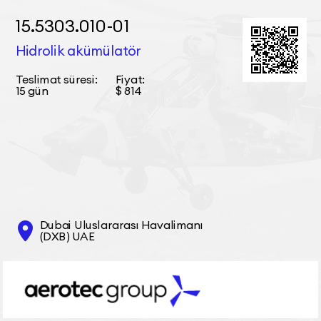 15.5303.010-01 Hidrolik akümülatör